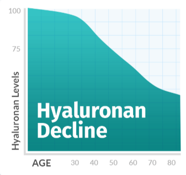 Joint Genesis Hyaluronan