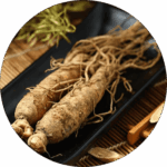 Panax_Ginseng_Extract