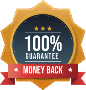 ProtoFlow Guarantee
